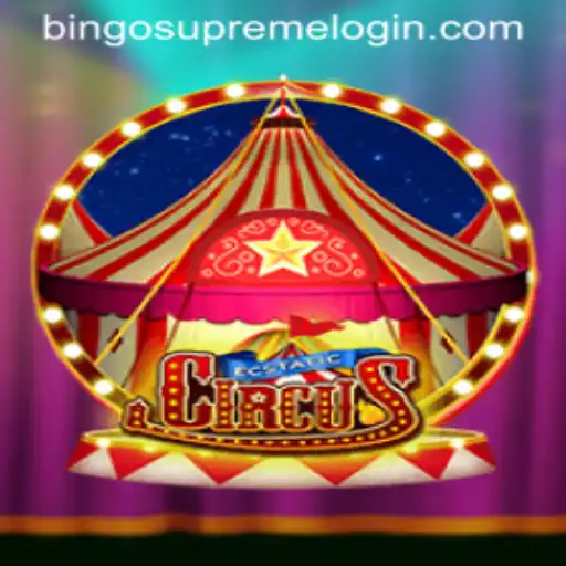 Unveiling EcstaticCircus: A Playful Journey into BingoSupreme