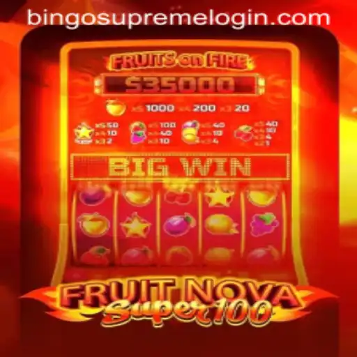Exploring the Excitement of FruitNovaSuper100 and BingoSupreme